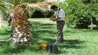 سنجش سیستم ارت در مرکز آموزشی پژوهشی و درمانی کوثر