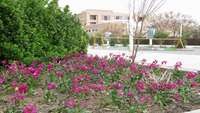 فضای سبز مرکز آموزشی ،پژوهشی و درمانی کوثر نیز از مهربانی خیرین سمنانی بی نصیب نمانده است.