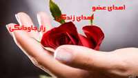 چهارمين اهداي عضو در سال 1394