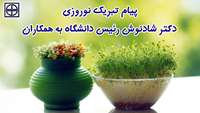 پیام تبریک نوروزی دکتر شادنوش رئیس دانشگاه به همکاران