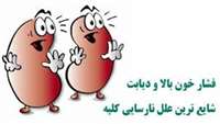 برگزاری همایش آموزشی ویژه بیماران دیابتی با موضوع نارسائی کلیه در مرکز کوثر