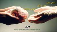 هفتمین مورد اهدای عضو در سال 94 از دانشگاه علوم پزشکی استان سمنان