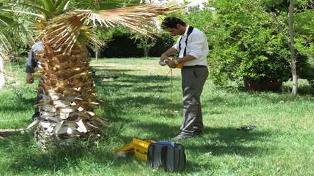  سنجش سیستم ارت در مرکز آموزشی پژوهشی و درمانی کوثر