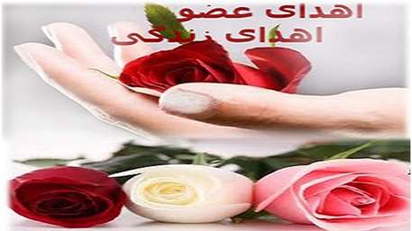  اهدای عضو اهدای زندگی