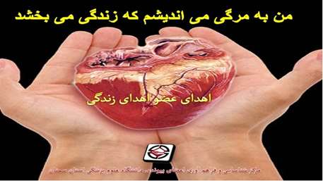   اعضای پیکر زهرا، به چند بیمار در لیست انتظار دریافت عضو پیوندی جانی دوباره بخشید. 