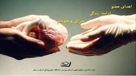  هفتمین مورد اهدای عضو در سال 94 از دانشگاه علوم پزشکی استان سمنان